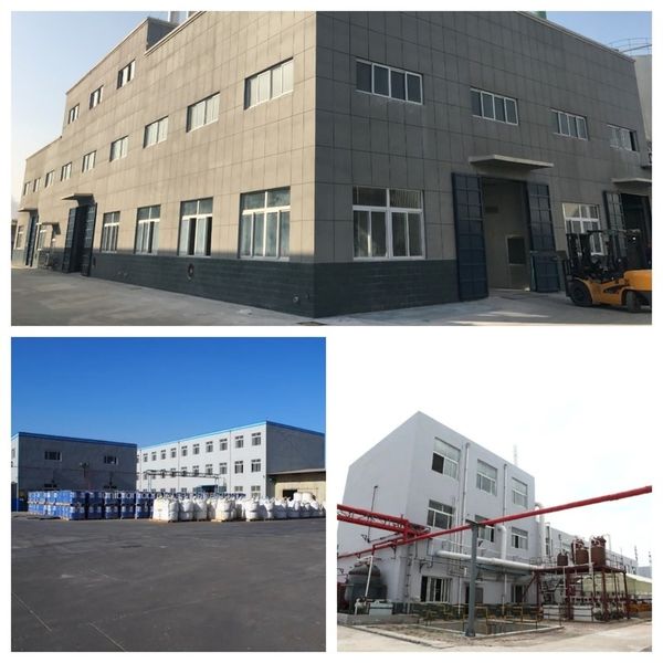 China Shandong Jiuchong Chemical Co., Ltd. Bedrijfsprofiel
