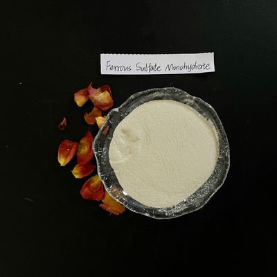 Ferrous Sulfate Monohydrate 91% Light Grey Powder FeSO4 H2O