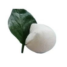 Cas 144 55 8 Bicarbonat van natrium, zuiveringszout 25 kg