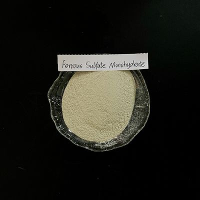 Ferrous sulfate monohydraat 91% lichtgrijs poeder FeSO4