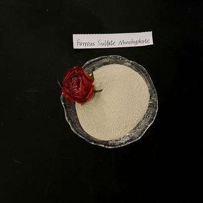 Ferrous Sulfate Monohydrate 91% Light Grey Powder FeSO4